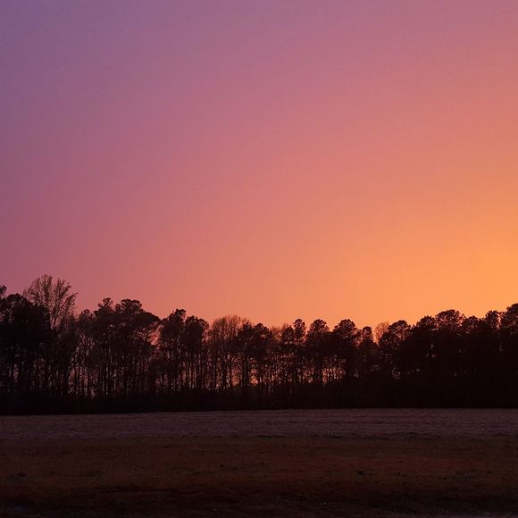 Meet your Posher, Jessica - Picture 1 of 1